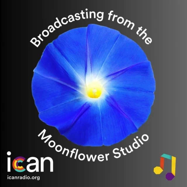 ICAN is proud to come to you from the Moonflower Studio. Logging over 90 hours with youth in the studio since August 2024. 

We look forward to growing that number in 2025 and providing opportunities for youth to explore a studio designed for young people!