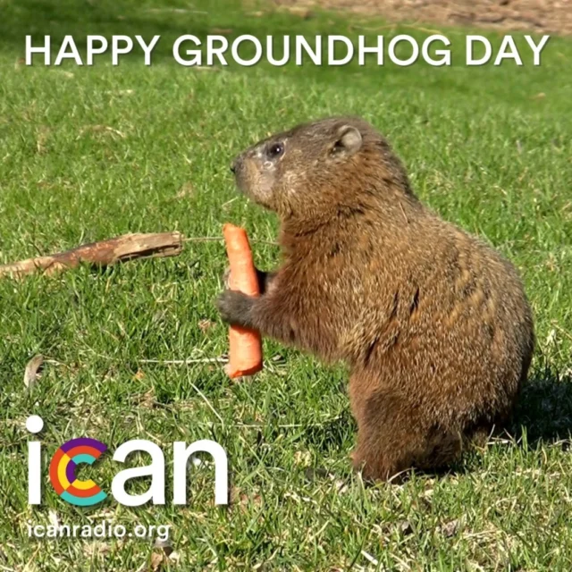 HAPPY GROUNDHOG DAY!

HAPPY GROUNDHOG DAY!